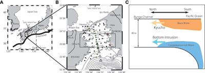 Enhanced Cross-Shelf Exchange Between the Pacific Ocean and the Bungo Channel, Japan Related to a Heavy Rain Event